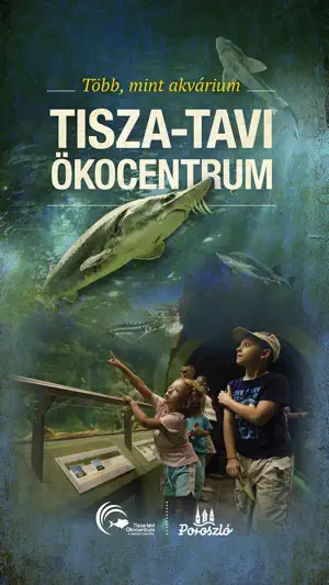 Tisza-tavi Ökocentrum screenshot 1