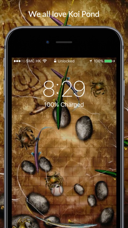 Koi Pond Live Wallpapers screenshot-4