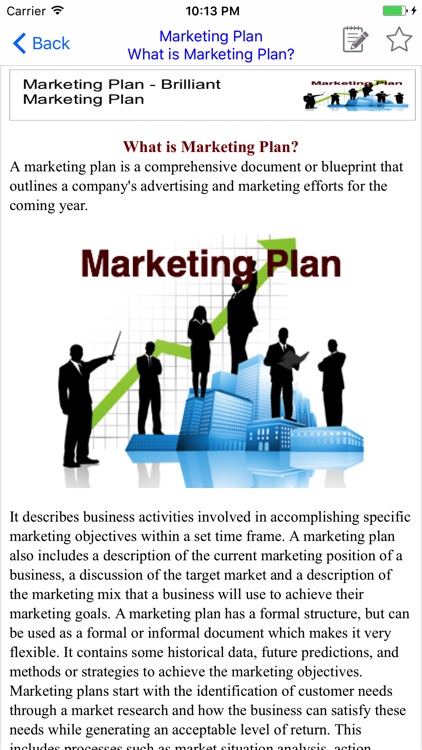 Marketing Plan - Brilliant Marketing Plan