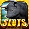 Wild Buffalo Casino Slots Machines