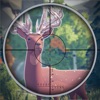 Deer Hunting Target icon