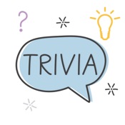 Trivia App - Knowledge Quiz