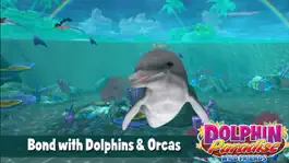 Game screenshot Dolphin Paradise - All Access mod apk
