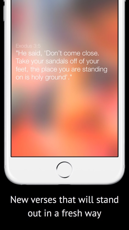 MMA Bible: Verse & Thought of the Day for Fighters