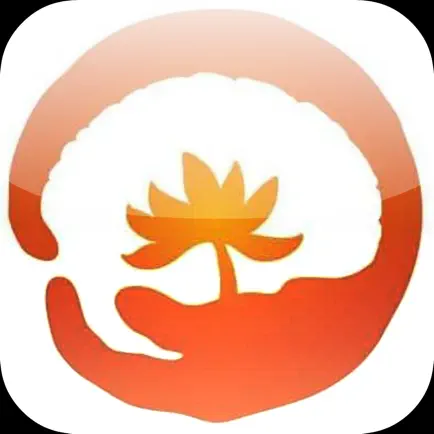 AD8中華護智協會 Cheats