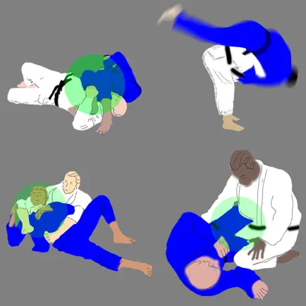 BJJ Quiz Cheats