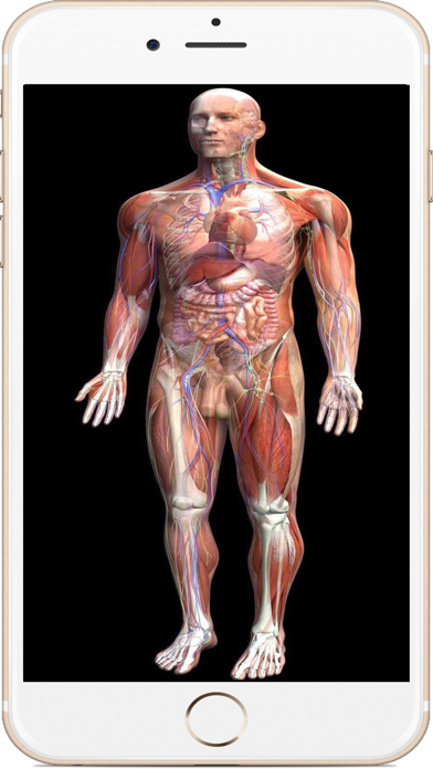 全套人体解剖 screenshot1