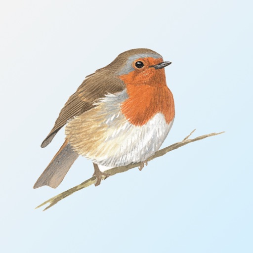 eGuide to British Birds iOS App