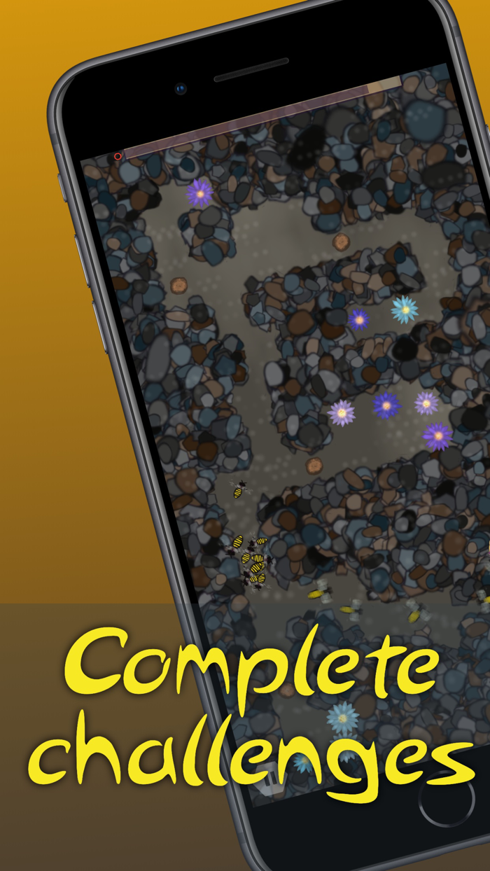 Buzzed - Bee Adventures