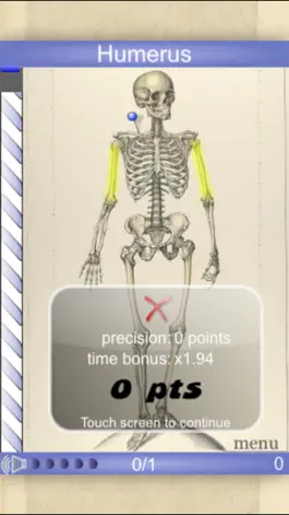 Game screenshot Speed Bones Lite (Quiz) mod apk