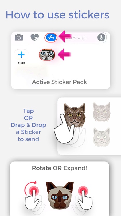 Cat Heads Emoji Stickers