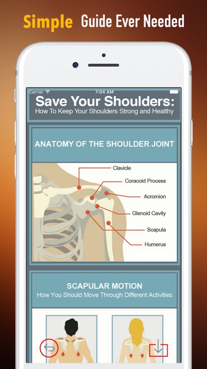 Healthy Shoulder 101-Preventing Frozen Shoulder