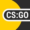 CS:GO Statistic icon