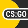 CS:GO Statistic contact information