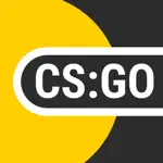 CS:GO Statistic App Contact