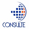 Consulte Contabilidade