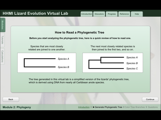 Lizard Evolution Virtual Lab iPad screenshot