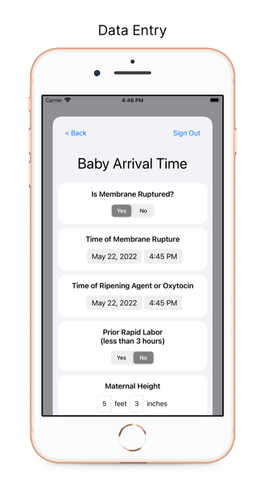 Baby Arrival Time Screenshot