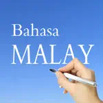 Learn Malay Language ! App Alternatives