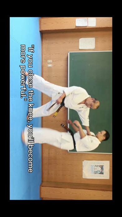 KYOKUSHIN KARATE TO W... screenshot1