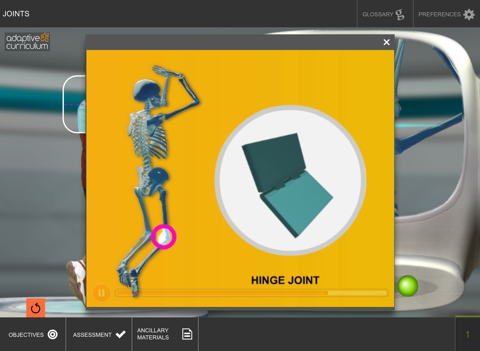 Functions of Joints screenshot 4