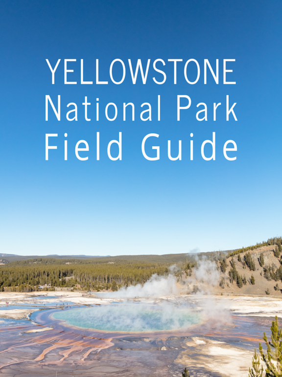 Screenshot #4 pour Yellowstone NP Field Guide