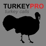 Download REAL Turkey Calls for Turkey Hunting app