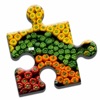 Grocery Shopping Puzzle icon