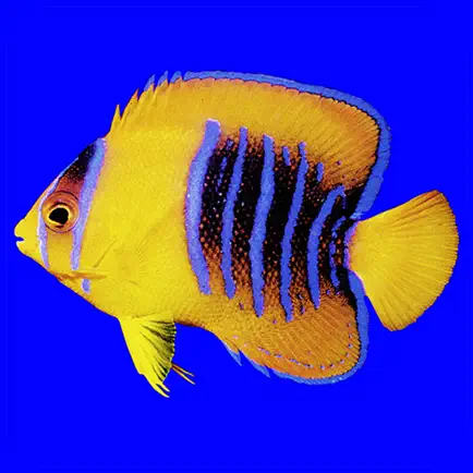 Fishes: East Pacific Читы