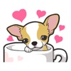 Chihuahua Dog - Stickers
