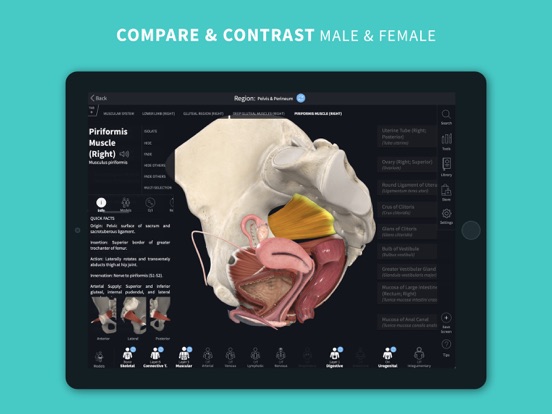 Complete Anatomy 2024 iPad app afbeelding 5