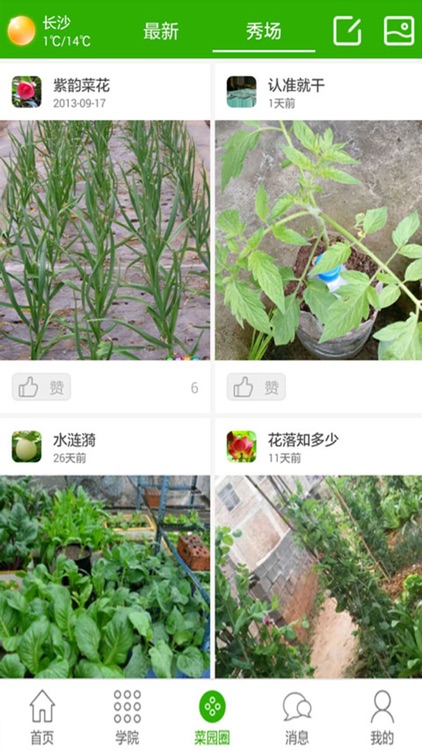 我爱菜园 screenshot-4