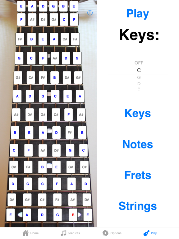Guitar Fretboard Addict Lite iPad screenshot 4 - Music app