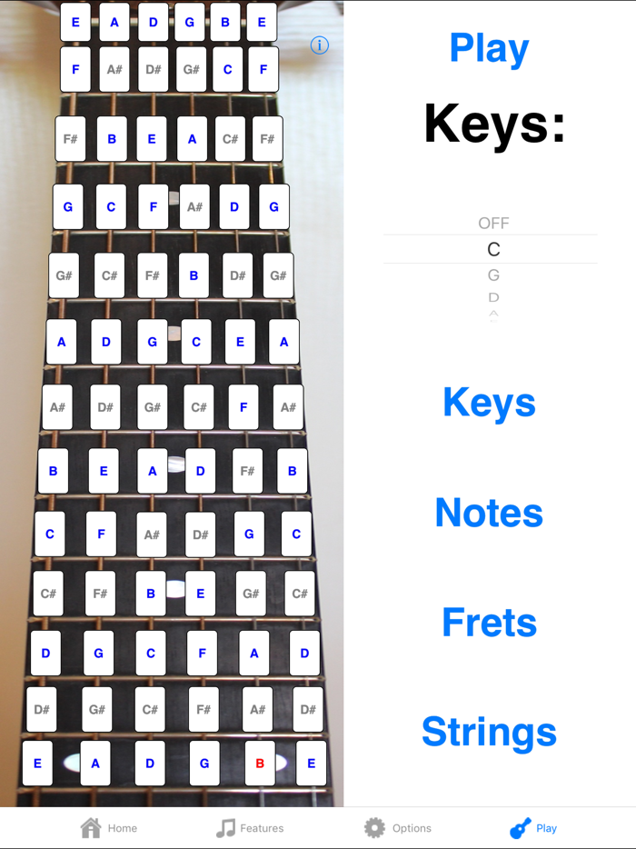 Guitar Fretboard Addict Lite