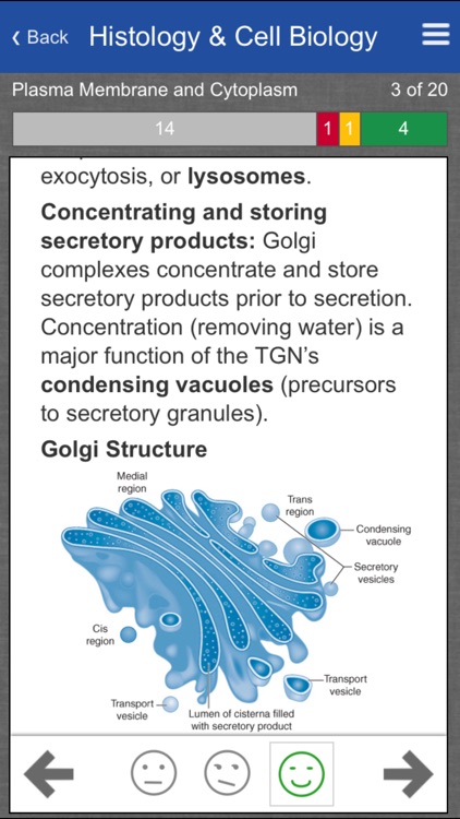 Histology and Cell Biology Review Flash Cards