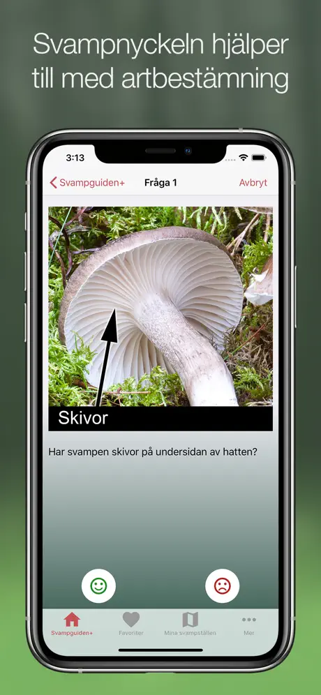 Svampguiden+