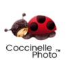 Coccinelle Photo Studio