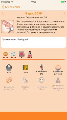 Game screenshot WomanLog Pregnancy Calendar apk