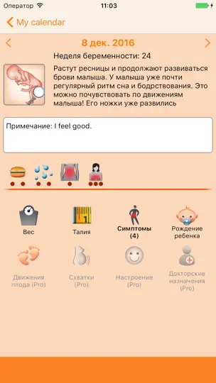 Скриншот WomanLog Pregnancy Calendar на iPhone 2