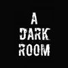 A Dark Room - Amirali Rajan