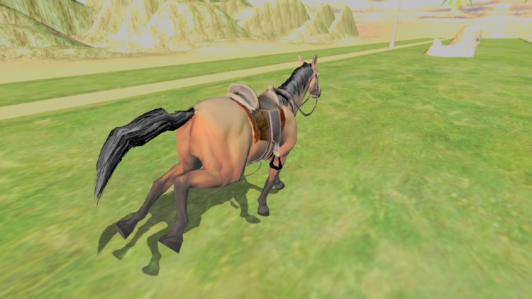 Horse Simulator 2017