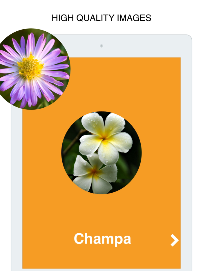 Flowers Flashcard for babies and preschool