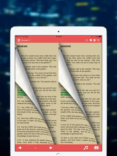 NRSV Bible