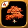 Fire Maple Games - Collection icon