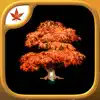 Fire Maple Games - Collection App Positive Reviews