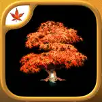 Fire Maple Games - Collection App Support