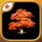 Fire Maple Games - Co...