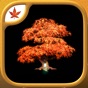 Fire Maple Games - Collection app download