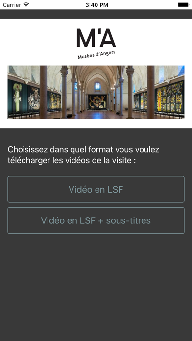 Screenshot #3 pour Musée Jean Lurçat en LSF