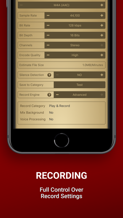 Screenshot #3 pour Voice Record Pro